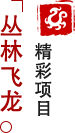 方特東方神畫-叢林飛龍